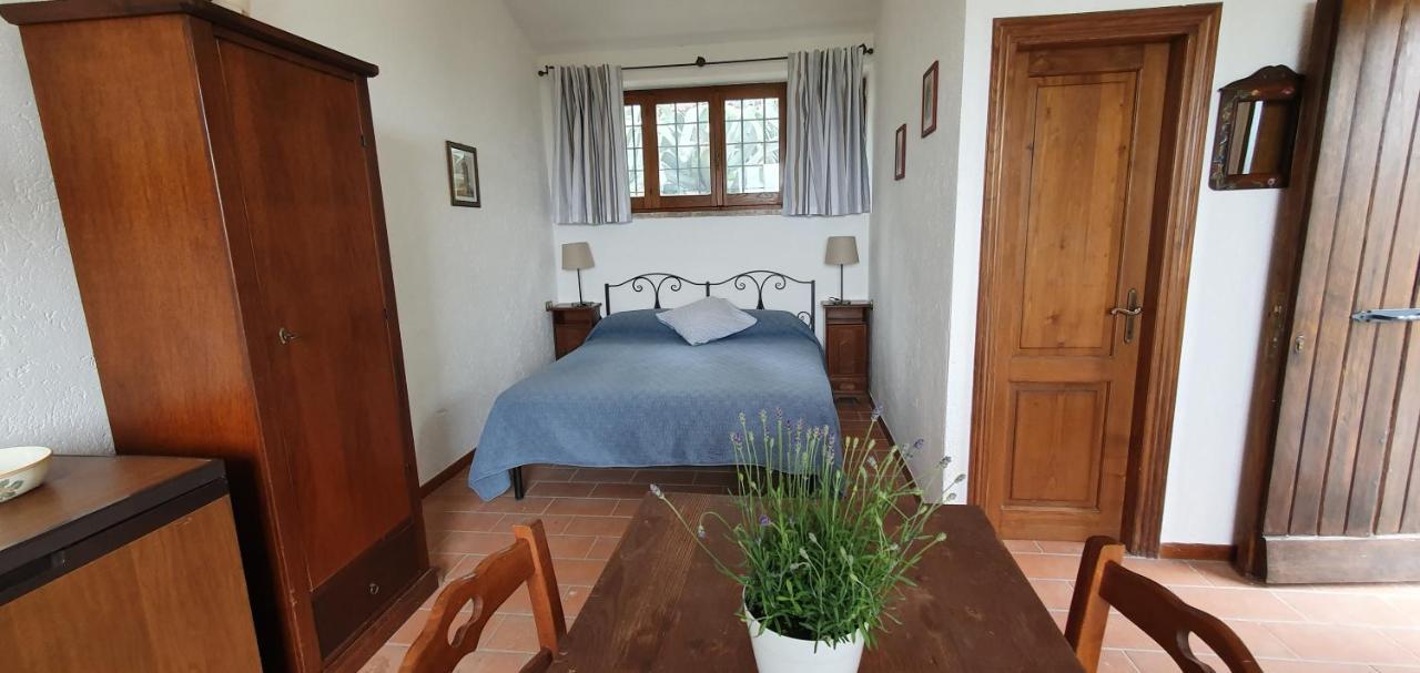 Poloturisticoumbria Rustico Con Piscina Vista Lago Passignano sul Trasimeno Eksteriør billede